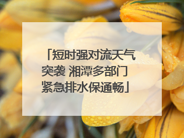 短时强对流天气突袭 湘潭多部门紧急排水保通畅