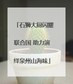 石狮大厨闪耀联合国 助力演绎泉州山海味