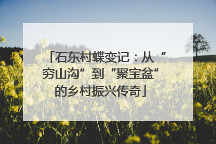 石东村蝶变记：从“穷山沟”到“聚宝盆”的乡村振兴传奇