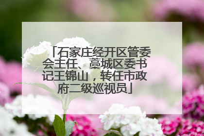 石家庄经开区管委会主任、藁城区委书记王锦山，转任市政府二级巡视员