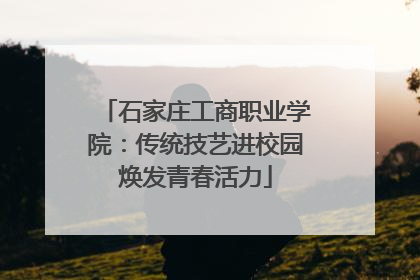 石家庄工商职业学院：传统技艺进校园焕发青春活力