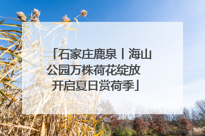 石家庄鹿泉丨海山公园万株荷花绽放 开启夏日赏荷季