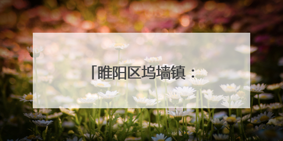 睢阳区坞墙镇：粽叶飘香传文化 浓情端午聚民心