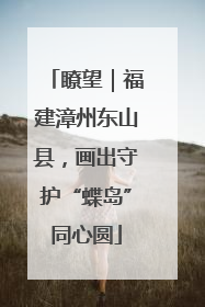 瞭望｜福建漳州东山县，画出守护“蝶岛”同心圆