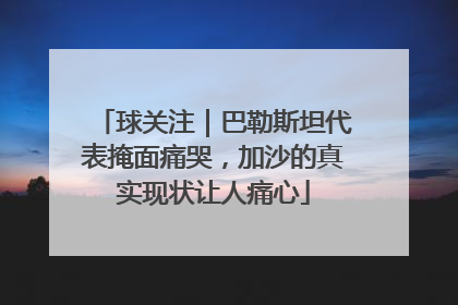 球关注｜巴勒斯坦代表掩面痛哭，加沙的真实现状让人痛心