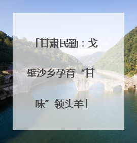 甘肃民勤：戈壁沙乡孕育“甘味”领头羊