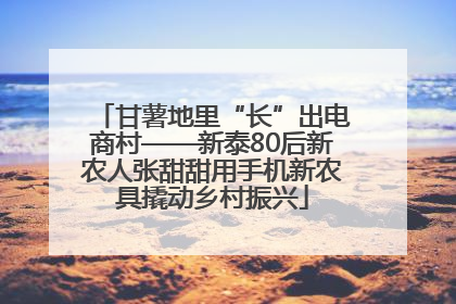 甘薯地里“长”出电商村——新泰80后新农人张甜甜用手机新农具撬动乡村振兴