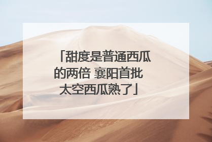 甜度是普通西瓜的两倍 襄阳首批太空西瓜熟了