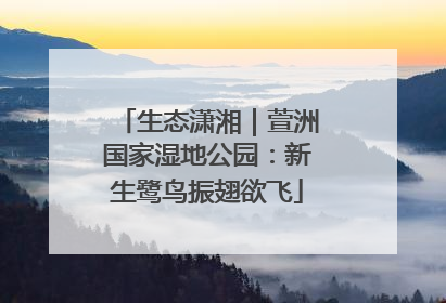 生态潇湘｜萱洲国家湿地公园：新生鹭鸟振翅欲飞