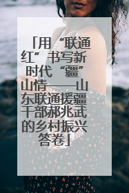 用“联通红”书写新时代“疆”山情——山东联通援疆干部郝兆武的乡村振兴答卷