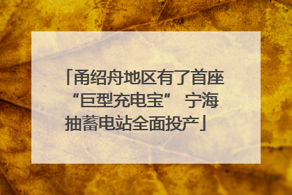 甬绍舟地区有了首座“巨型充电宝” 宁海抽蓄电站全面投产
