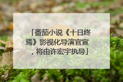 番茄小说《十日终焉》影视化导演官宣，将由许宏宇执导
