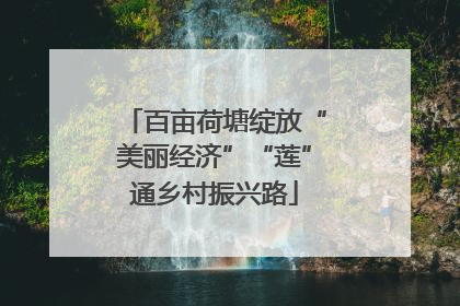 百亩荷塘绽放“美丽经济”“莲”通乡村振兴路
