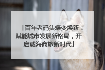 百年老码头蝶变焕新：赋能城市发展新格局，开启威海商旅新时代