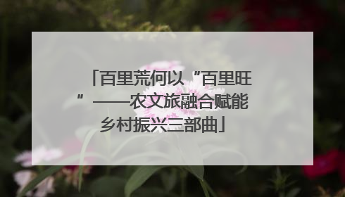 百里荒何以“百里旺”——农文旅融合赋能乡村振兴三部曲