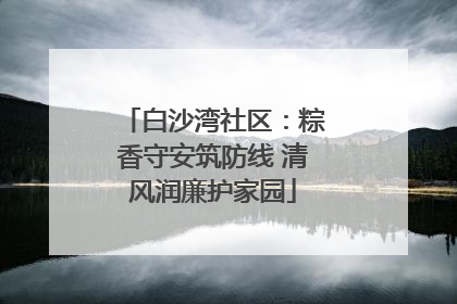 白沙湾社区：粽香守安筑防线 清风润廉护家园