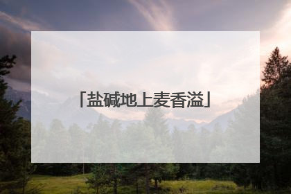 盐碱地上麦香溢