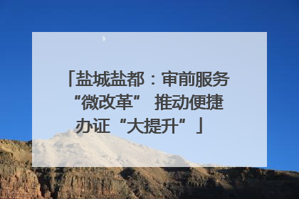 盐城盐都：审前服务“微改革” 推动便捷办证“大提升”