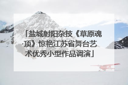 盐城射阳杂技《草原魂·顶》惊艳江苏省舞台艺术优秀小型作品调演