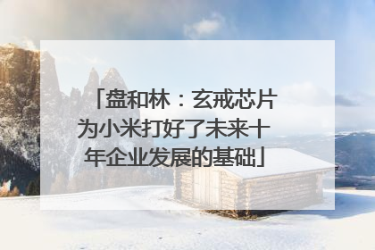 盘和林：玄戒芯片为小米打好了未来十年企业发展的基础