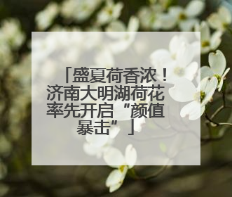 盛夏荷香浓！济南大明湖荷花率先开启“颜值暴击”