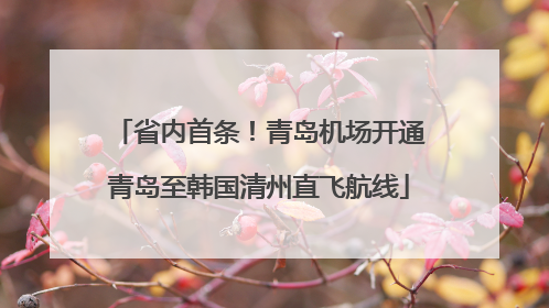 省内首条！青岛机场开通青岛至韩国清州直飞航线