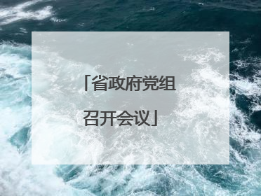 省政府党组召开会议