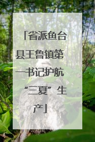 省派鱼台县王鲁镇第一书记护航“三夏”生产