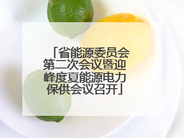 省能源委员会第二次会议暨迎峰度夏能源电力保供会议召开