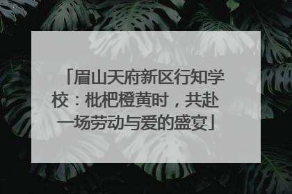 眉山天府新区行知学校：枇杷橙黄时，共赴一场劳动与爱的盛宴