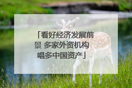 看好经济发展前景 多家外资机构唱多中国资产