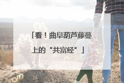 看！曲阜葫芦藤蔓上的“共富经”
