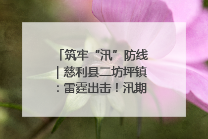 筑牢“汛”防线｜慈利县二坊坪镇：雷霆出击！汛期捕鱼被紧急叫停