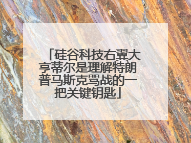 硅谷科技右翼大亨蒂尔是理解特朗普马斯克骂战的一把关键钥匙