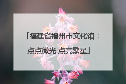 福建省福州市文化馆：点点微光 点亮繁星