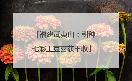 福建武夷山：引种七彩土豆喜获丰收