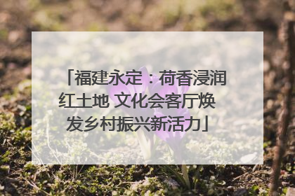 福建永定：荷香浸润红土地 文化会客厅焕发乡村振兴新活力
