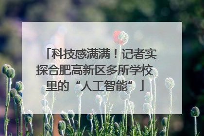 科技感满满！记者实探合肥高新区多所学校里的“人工智能”