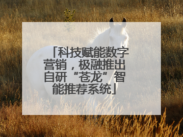 科技赋能数字营销，极融推出自研“苍龙”智能推荐系统