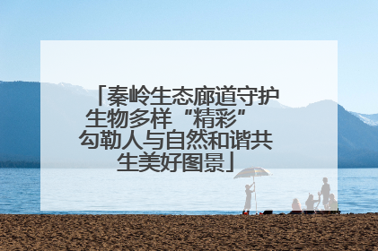 秦岭生态廊道守护生物多样“精彩” 勾勒人与自然和谐共生美好图景
