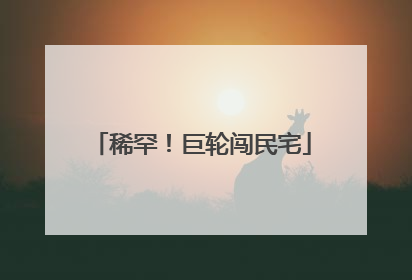 稀罕！巨轮闯民宅
