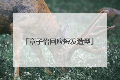 章子怡回应短发造型