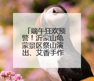 端午狂欢预警！沂蒙山龟蒙景区祭山演出、艾香手作、对山歌、逛市集！速来嗨玩~