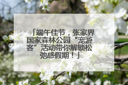 端午佳节，张家界国家森林公园“宠游客”活动带你解锁松弛感假期！