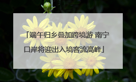 端午归乡叠加跨境游 南宁口岸将迎出入境客流高峰