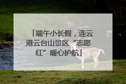 端午小长假，连云港云台山景区“志愿红”暖心护航