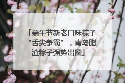 端午节新老口味粽子“舌尖争霸”，青岛脂渣粽子强势出圈