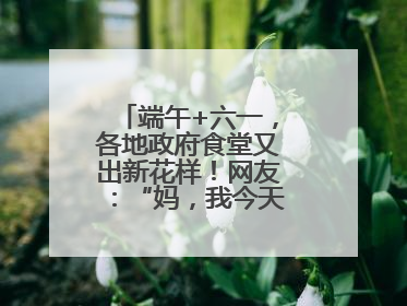 端午+六一，各地政府食堂又出新花样！网友：“妈，我今天不回家吃了”