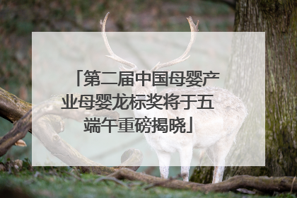 第二届中国母婴产业母婴龙标奖将于五端午重磅揭晓
