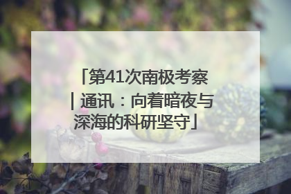 第41次南极考察｜通讯：向着暗夜与深海的科研坚守
